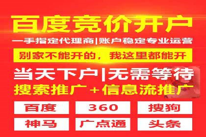深度解析SEM推广代运营的成功案例及策略